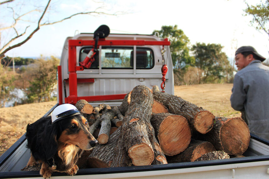 薪の作り方・乾燥方法