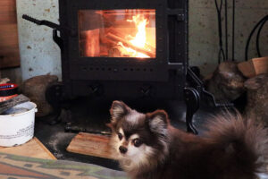 おのストーブ製 薪ストーブ 施工事例 No.004(高知県・リフォーム・ストーブ全体と火とわんちゃんの様子)