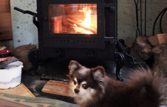 おのストーブ製 薪ストーブ 施工事例 No.004（高知県・リフォーム・ストーブ全体と火とわんちゃんの様子）