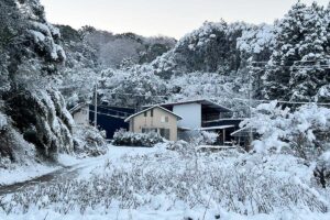 会社概要・アクセス